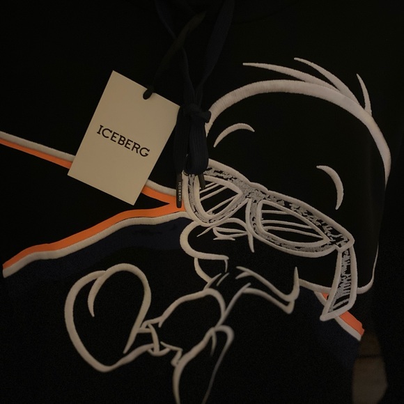 NWT - Gilmar Iceberg Tweety Hoodie - Picture 3 of 7